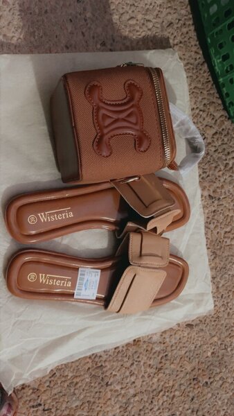 Un sac avec une chaussure