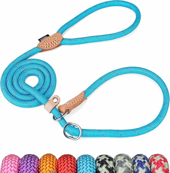 Laisse en corde durable pour chiens