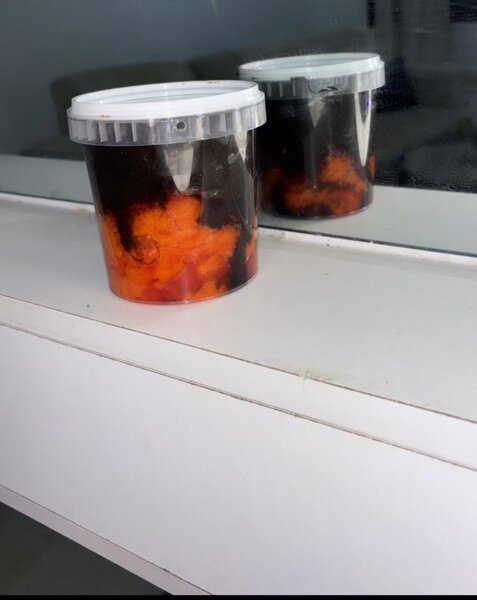 Savon Réparateur Éclat