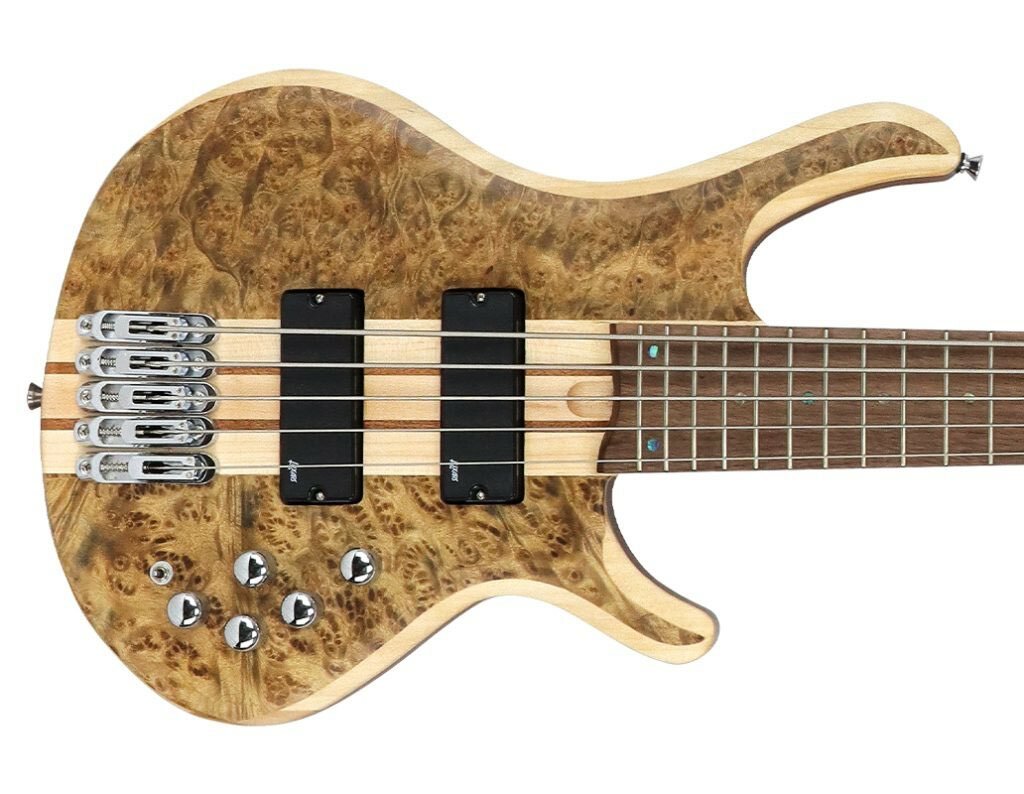 Guitare basse 5 cordes