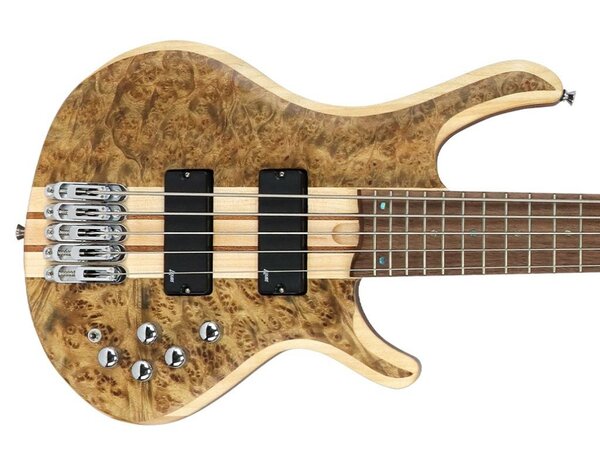 Guitare basse 5 cordes