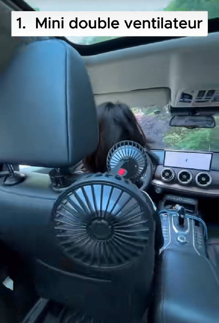 Ventilateur de Voiture Double Mini