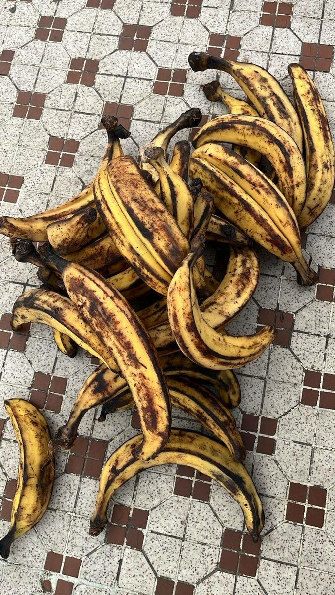 Banane pour alocco