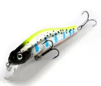 fishing baits
