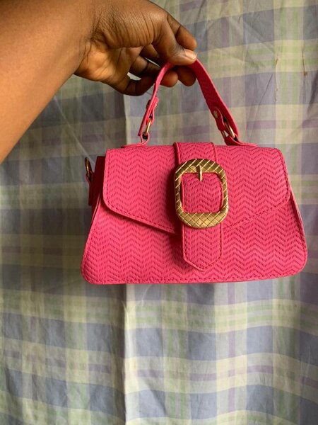 Ladies  bag