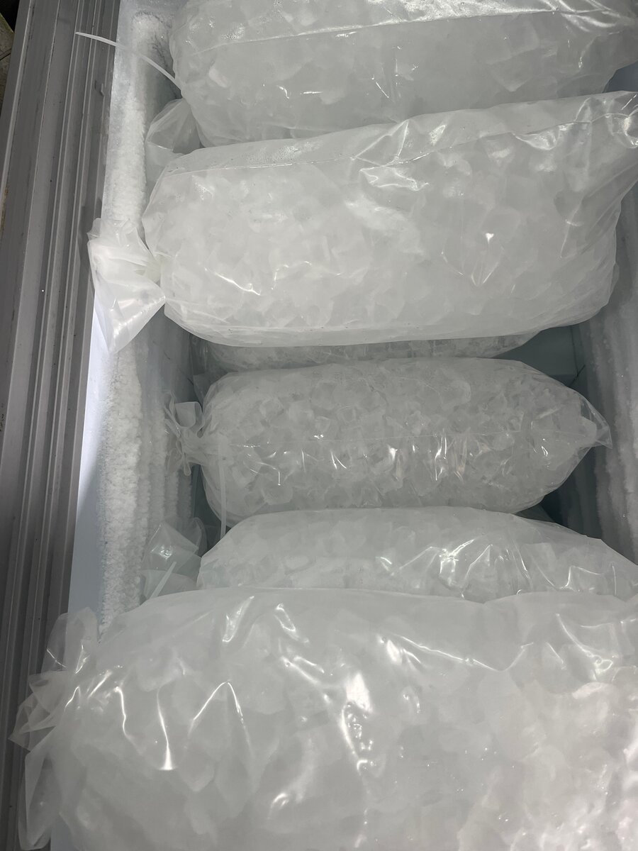 Sachet glace alimentaire 5kg