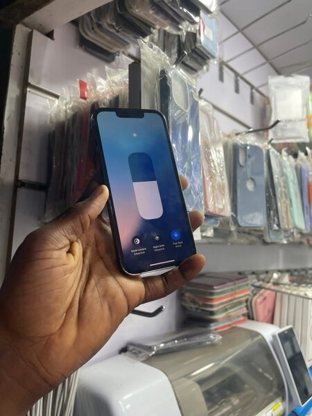 iPhone Pro Max Reconditionné