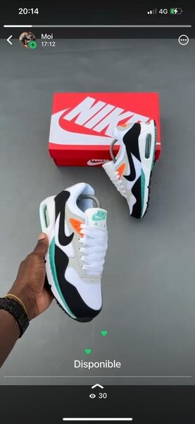 Baskets Nike Air Max modernes