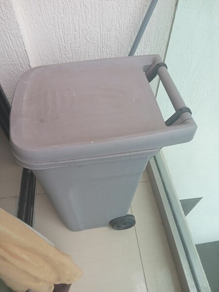 Poubelle à pédale 40L avec roues