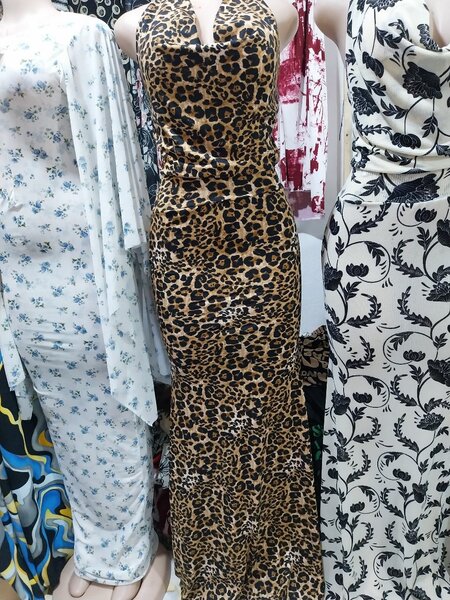 Robe Longue Léopard Élégante