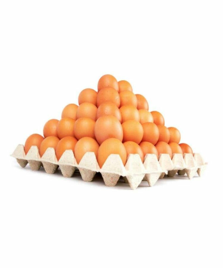 Nutritious Eggs