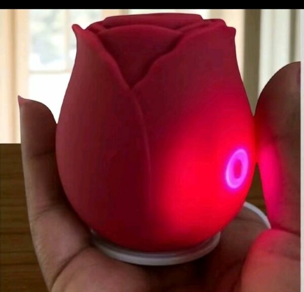 Stimulateur Érotique Rose LED