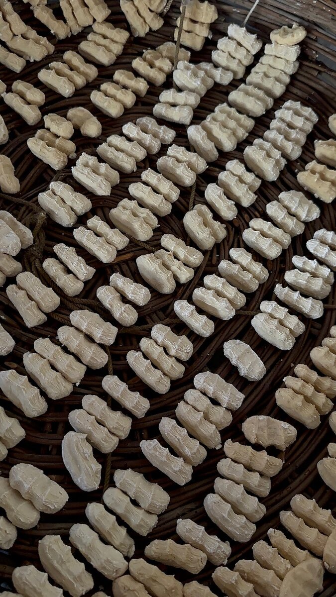 Домашние куруты