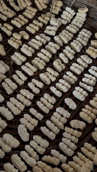 Домашние куруты