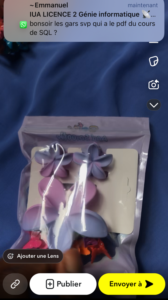 Pinces à cheveux fleurs colorées