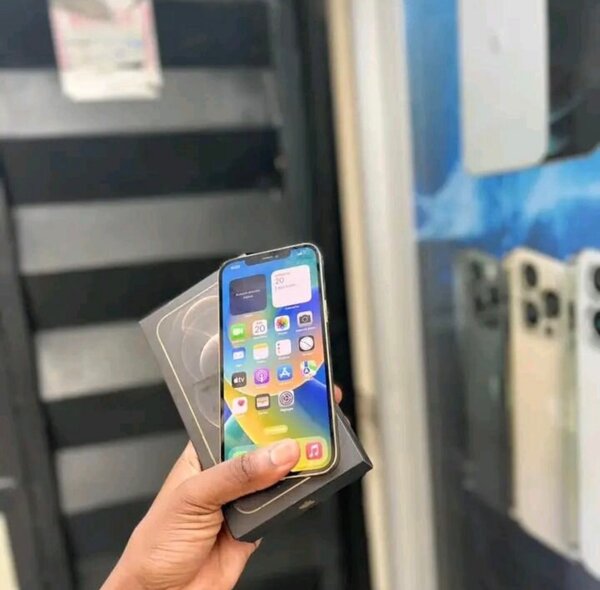 12 pro max  5G moderne