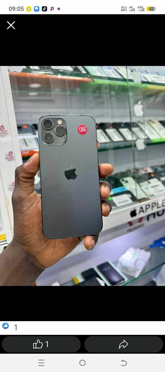 Apple iPhone 12 Pro Max