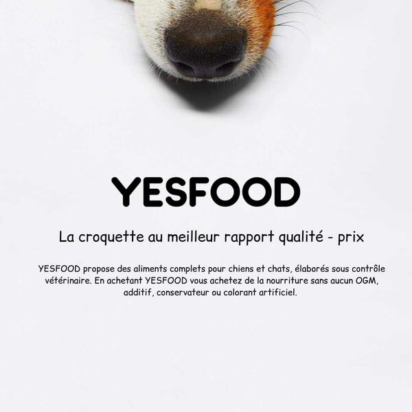 Croquette YESFOOD 