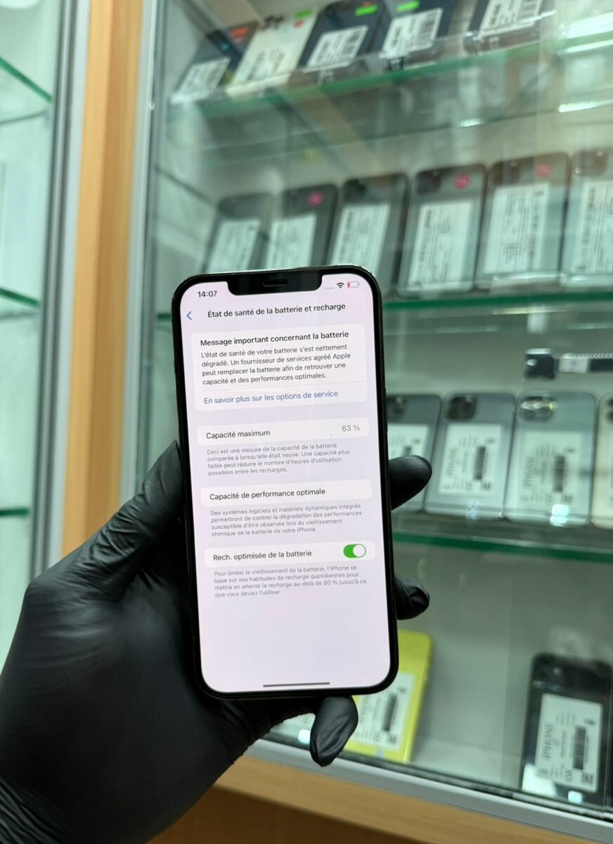 12 Pro Max 128Go tout est dor