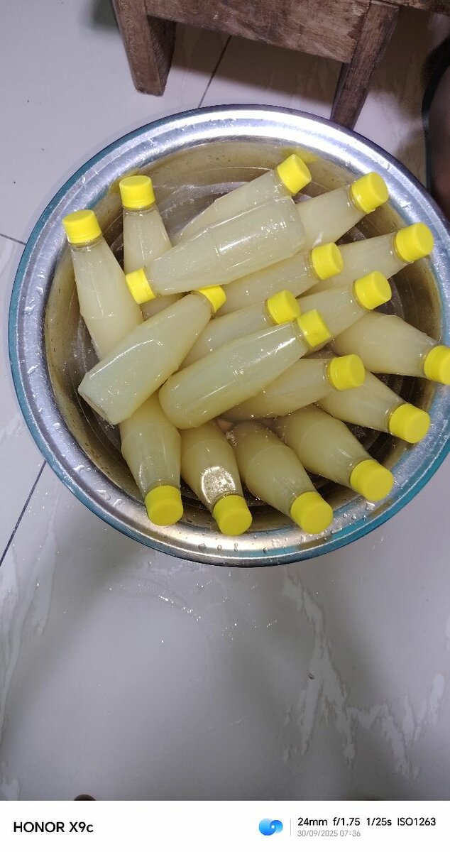 Sauce épicée de volaille