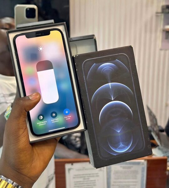 iPhone 12 Pro 256 Go Bleu