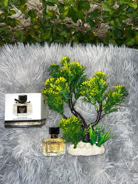 Parfum Élégant pour Femme