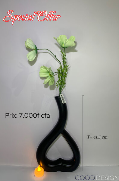 Vases décoratifs modernes