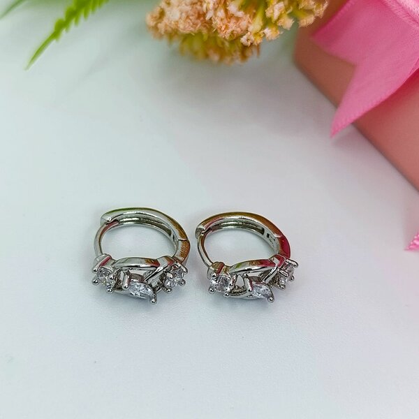 Boucles d'oreilles élégantes argentées