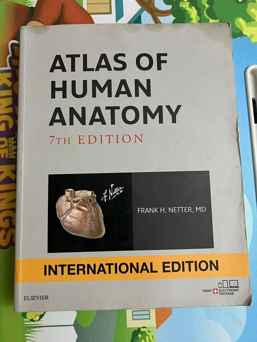 Atlas of Human Anatomy