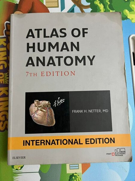 Atlas of Human Anatomy