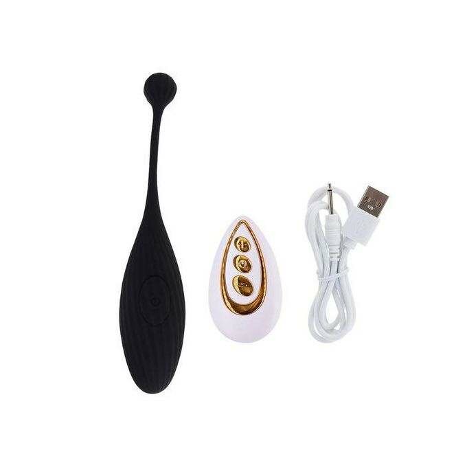 Vibromasseur Télécommandé