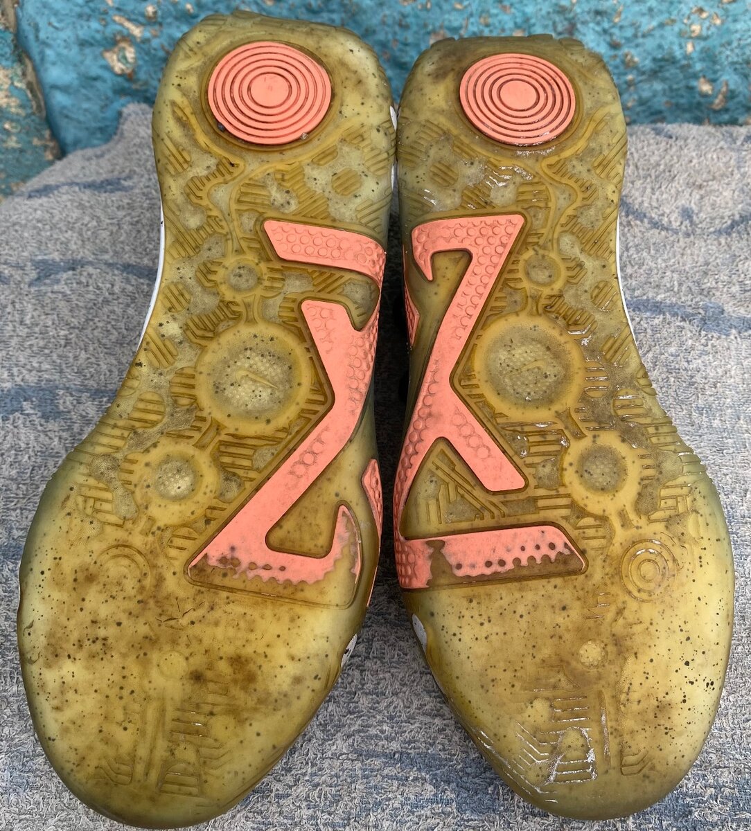 PG 6 'Fluoro' (DH8447-100)