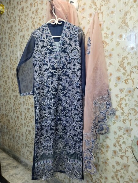 Vanya 3 pc organza stitched