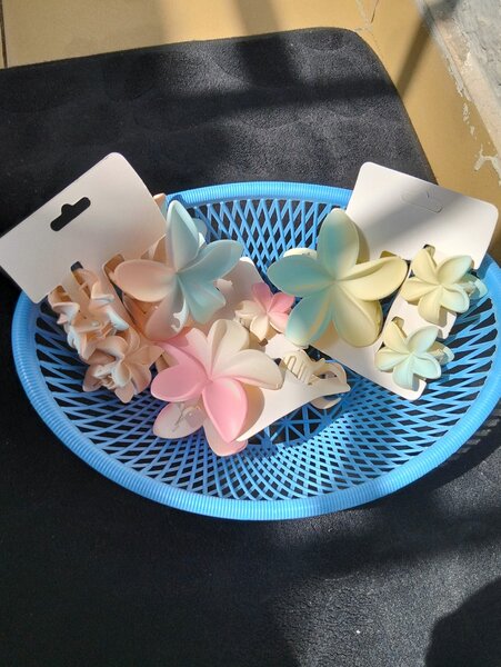 Barrettes fleurs colorées