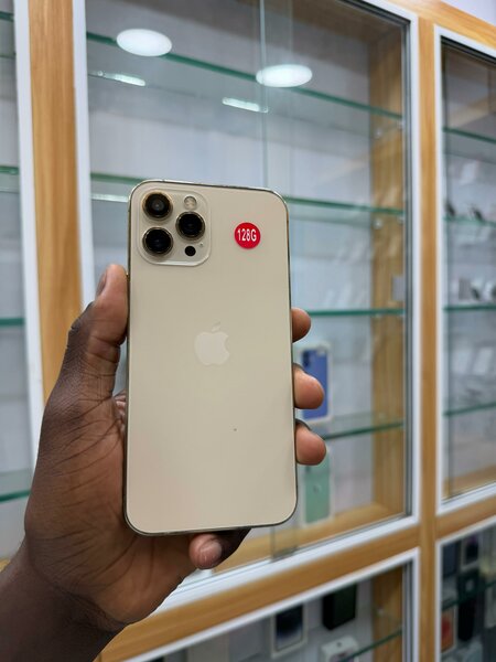 12 pro max 128Go