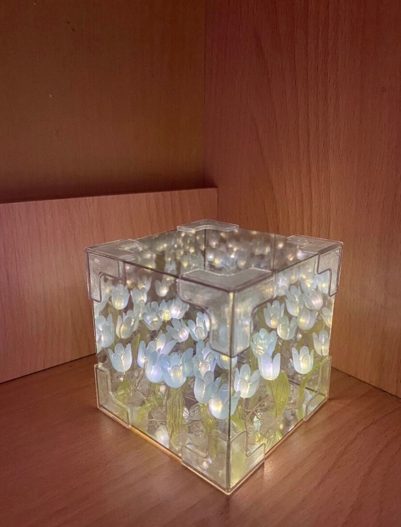 Вечные цветы