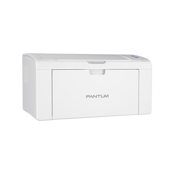 Pantum p2509 printer