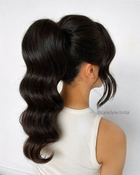 Body queue de cheval élégante