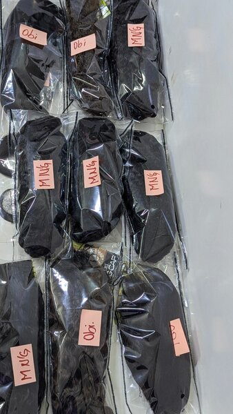 Pressing de Perruque