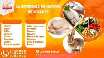 De ferme poulet 