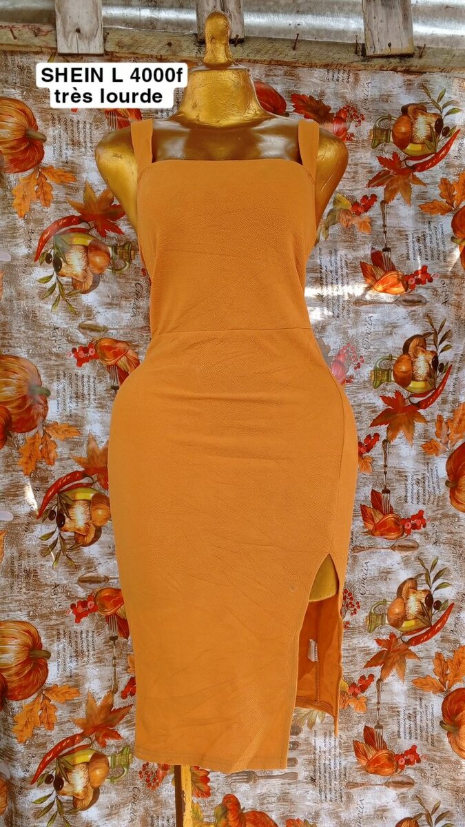 Robe Chemise Denim