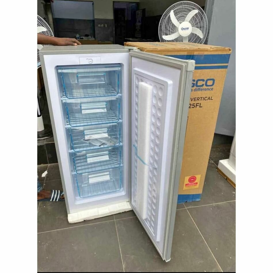 Congélateur vertical spacieux