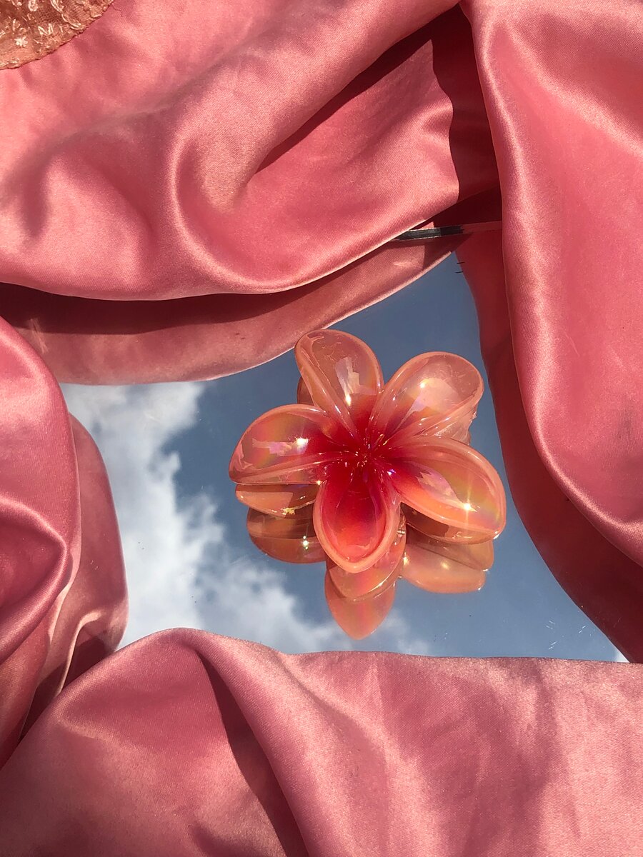 Barrette + ÉLASTIQUES OFFERT