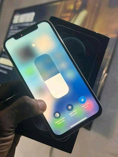 iPhone 12 pro max