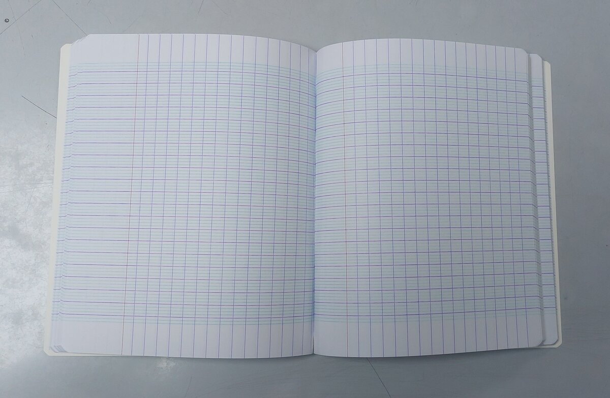 Cahier Privilège 300 Pages