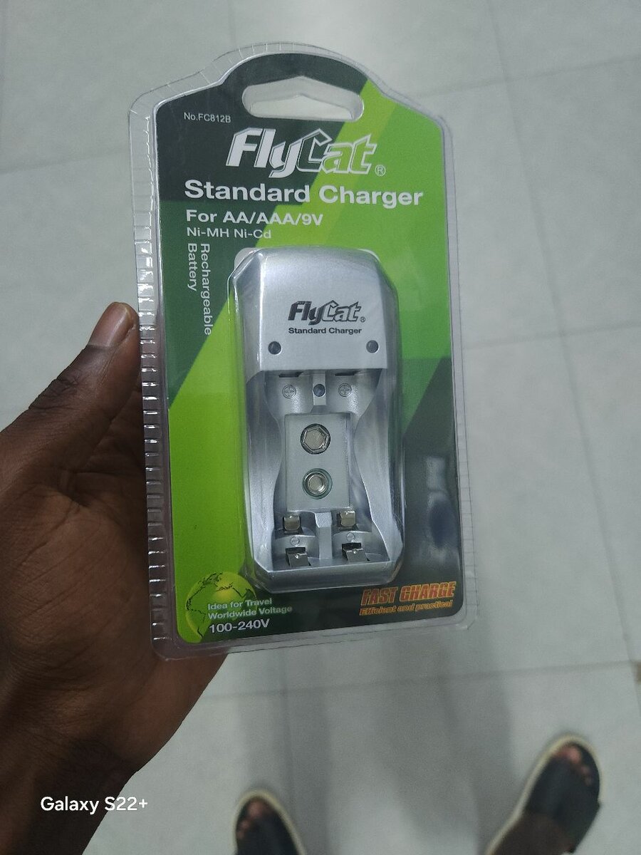 Piles rechargeables + Chargeur