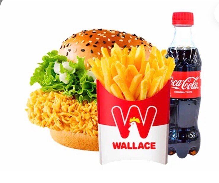 Menu Rapide Poulet et Frites