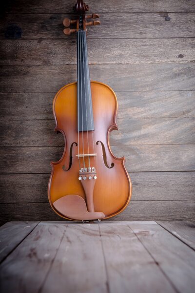 Violon adulte 4/4