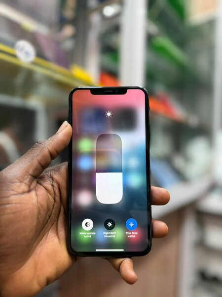 11Pro max 256Go 2nd main