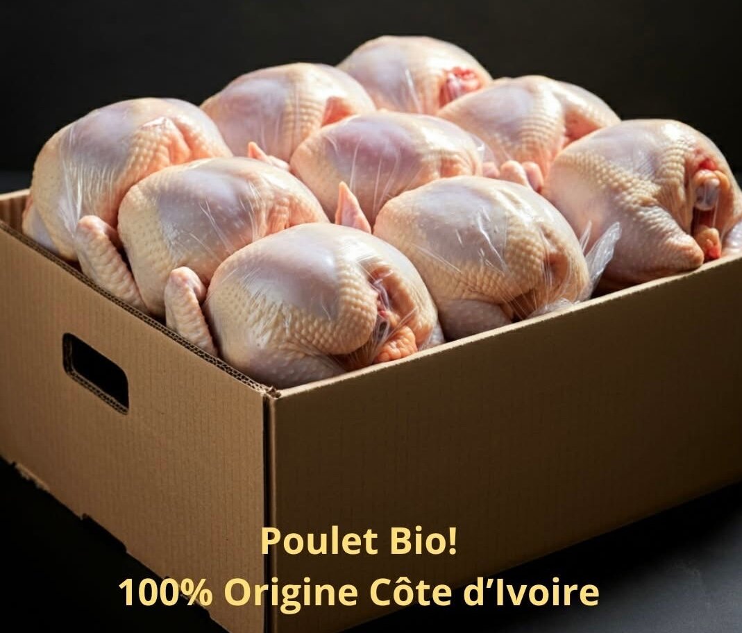 Poulet Bio Côte d'Ivoire